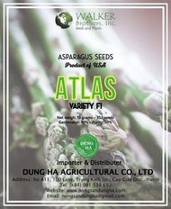 Hạt Giống Măng Tây Xanh Atlas F1 đóng gói 5g 180 hạt
