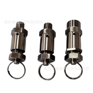 Quick Loading304Stainless Steel Spring Type Safety Valve Male Thread PT Exhaust Valve Air Pump Press