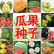 Early Cooked Melon Fruit Vegetable Seeds Watermelon Seeds Cantaloupe Cantaloupe Seeds Claws Sweet Me