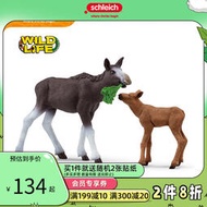 現貨  快速發貨 特價 思樂schleich駝鹿媽媽和寶寶42603仿真動物模型玩具野生動物禮物