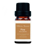 Pine Essential Oil 15ml
