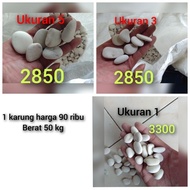 PUTIH Smallest white coral decorative stone 1 kg / White stone / kupang stone / kriril coral stone /