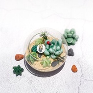 多肉植物玻璃盆栽蠟燭 | 仙人掌蠟燭