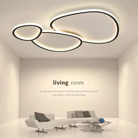 LIMIT LIGHT Minimalist LED Ceiling Lamp with Remote Control Dimmable Black White Pebble Shaped Creat
