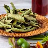 Dried guava leaves (natural buds and young leaves), guava leaves for weight loss,.... organic guava 