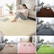 Bedroom Carpet Fleece Undercoat Carpet Bedside Carpet Washable Karpet Bilik Tidur