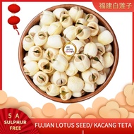 Fujian Lotus Seed 福建白莲子 Kacang Teratai 100g~500g-Mr.JANG YU