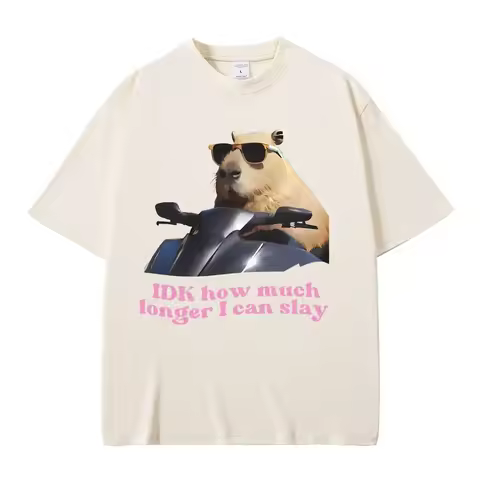 Idk How Much Longer I Can Slay Funny Capybara Meme Graphic T-shirts Women Casual Cozy Short Sleeve F
