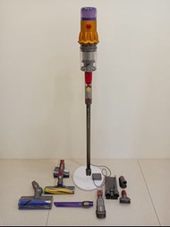 Dyson V12 Detect Slim Fluffy SV20輕量智慧無線吸塵器(完整配件加送直立式收納架，保固中)