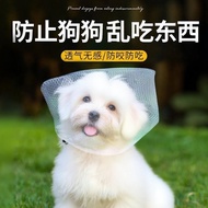 Taoli Shop🌸Prevent Dogs from Eating Eating Eating Eating Eating Eating Eating Eating Eating Eating E