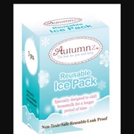 Autumnz Reusable Ice Pack Autumnz beg ice