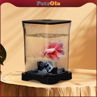 PETSOLA Fish Tank Breeding Tank Small Lanskap Perairan Tank for Home Tabletop Gecko Lizards