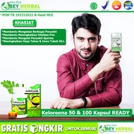 KELOREENA kAPSUL ASLI Obat Herbal Pengental Sperma Alami - Obat Herbal Untuk Menyuburkan Sperma - He