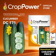 Benih Timun Cucumber seeds ι»ηη§ε CROP POWER DC171 DC272 DC282 DC777 DC1119 DC989 DC676 DC878 OC575
