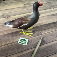 Patung Jontrot Burung Mandar Batu - Decoy Burung Mandar - Mandar Besar