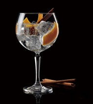 Connexion 琴酒杯 Gin&Tonic 600ml