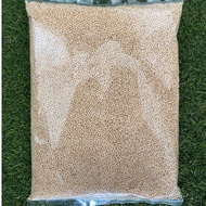 White Millet | Yellow Millet | Bird Food | Makanan Burung | Bird Seed | Kambu Putih | Kambu Kuning |