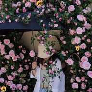 WENNEYU Artificial Rose Vine, Plastic Silk 8 Colors Hanging Flowers Rattan,  1.7m 21 Heads Fake Plan