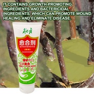 muduan Plant Wound Healing Paste Plant Wound Agent Efficient Tree Grafting Pruning Bonsai Care Paste 250g Healing Treatment Agent for Gardening Supplies in Asia