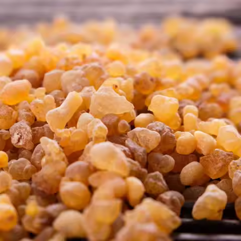 Frankincense Resin Organic Incense Brock Oliban Medicine Hydrosol Clean Frank Incense Nipple Boswell