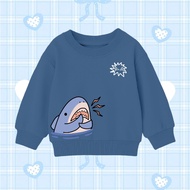 Crewneck Sweater [Kotakids] Biu-Biu Shark Boys - Girls Ages 4-15 Years Girls' Jacket/