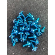 Titanium and Salaya Screws for Wave, Ex150, Winer X v3, Abl, Vision (1 Screw)