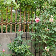 ST&amp;💘Fence Fence Outdoor Iron Barrier Chinese Rose Lattice Net Wall Climbing Flower Stand Rose Grid Balcony Garden Wall S