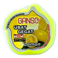 Ubat Gegat/Lemon Toilet Blocks