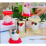 5-piece Cupcake Tube Mica Birthday Muffin Cake Packaging/ Cute Packaging/