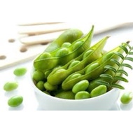 40.Edamame Seeds 15pcs in SG Inquiry Welcome