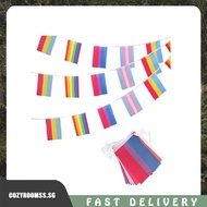 [cozyroomss.sg] Rainbow flag gay flag gay polyester string flag 5m (4 patterns flag size 1