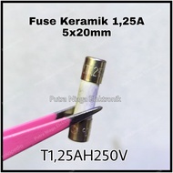 Ceramic Fuse 1.25A 250V 2cm Ceramic 1.25A 5x20mm Sikring T1.25Ah250V putr4n14 Get It Immediately