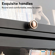 Display Cabinet Kitchen Cabinet BookShelf Almari Buku Storage Cabinet 展示柜