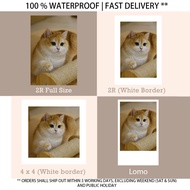 🇲🇾 11.11 Offer | Lomo Card | Lomo | 2R Photo | 4x4 | Photo Print | Cetak Gambar | Print Gambar