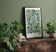 迷彩粗肋草100種姿態 -圖鑑海報-