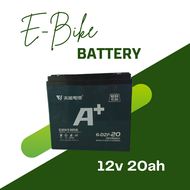 Electric Bike Battery 12v 20ah Tianneng Brand
