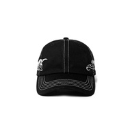VICIOUS PAIN - CAPSULE 6 PANEL CAP