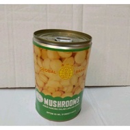 Global button mushroom 425gr mushroom can