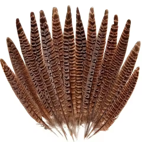 10pcs Natural Pheasant Feathers, Female Tail Feathers Female Forest-neck Chicken Tail Feathers Natur