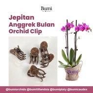 Jepitan Anggrek Bulan Orchid Clip Klip Jepit Batang Dahan Tanaman