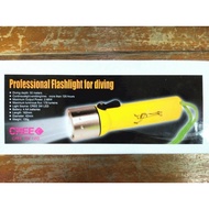 Selling Professional Diving FLASHLIGHT WATERPROOF FLASH LIGHT LIGHT LIGHT LIGHT