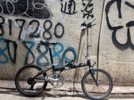 dahon