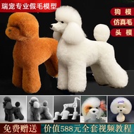 Rui Pet Pet Grooming Practice Teddy Poodle Fake Hair Model Fake Dog Hair Piece Fake Hair Fake Back H