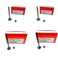 Nmax Valve (2DP-WB013-00) (2DP-WB014-00)