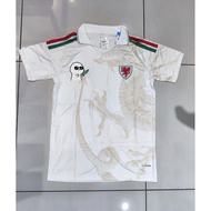 Wales World Cup Go Jersey grade ori