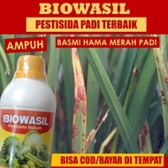 500ML BIOWASIL Pestisida Organik Merah Padi - Obat Hama Penyakit Merah Padi - Obat Semprot Penyakit