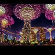 Tiket Garden by the by + sim card 4G M1 Singapore