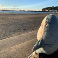 IKEA Collision Shark Pillow Great White 100cm Doll Big Broll