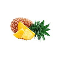 Malaysia Premium MD2 Fresh Pineapple (1.6 - 1.8kg) PRE ORDER (1pcs)