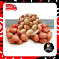 MINI/ CHICKEN EGG TOY NEGRI CHICKEN EGG TOY